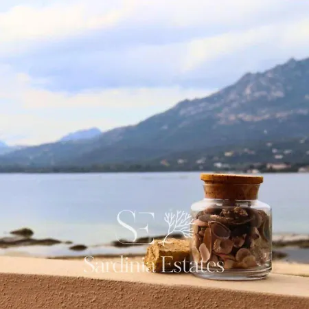 20 Passi Dalla - Panoramic Duplex Порто-Ротондо